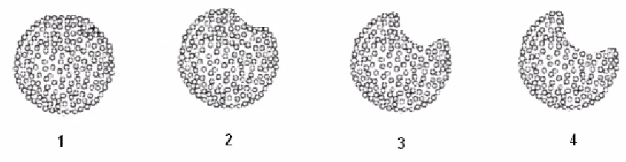 Figura 2.13 – Representação esquemática da formação dos grânulos segundo a  teoria dos grânulos contraídos