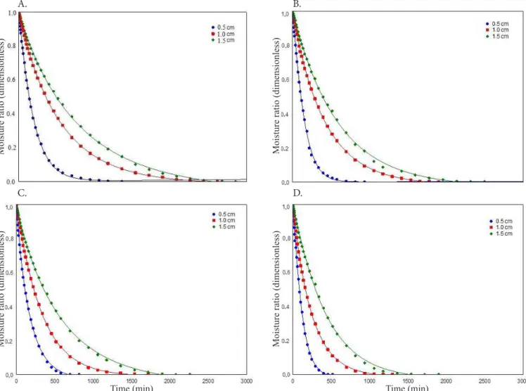 Figure 1 illustrates the curves fitted with the Midilli model  to the experimental data of pequi pulp drying kinetics at  temperatures of 50, 60, 70 and 80 °C, and pulp layer thicknesses  of 0.5, 1.0 and 1.5 cm.