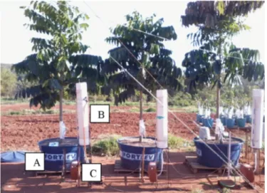 Figure 1. Constant water table lysimeters: PVC water  tank (500-L capacity) (A), PVC water reservoir (pipe  with diameter of 200 mm and height of 1.50 m) (B) and  discharge box (C)