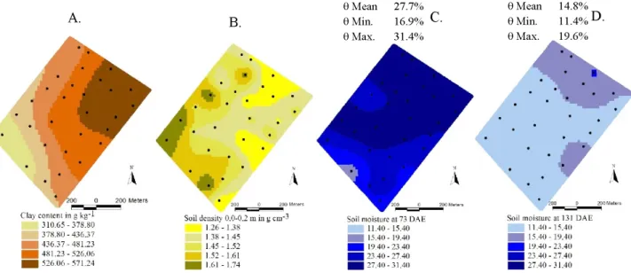 Figure 1. Maps of soil clay fraction (A) and soil density (B) and maps of volumetric moisture content ( θ %) at 73 DAE  (C) and at 131 DAE (D)