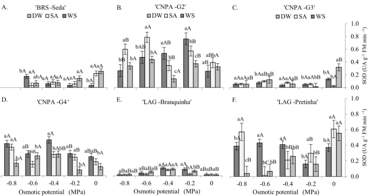 Figure 5. Superoxide dismutase activity (SOD) in sesame seedlings under different osmotic potentials and pre-treatment  of seeds