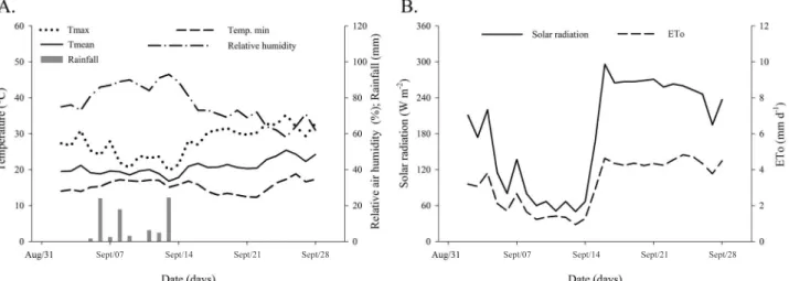 Figure 2.  Response of arugula yield (A) and height (B) as a function of the applied irrigation depth (% ETc) for each  potassium dose