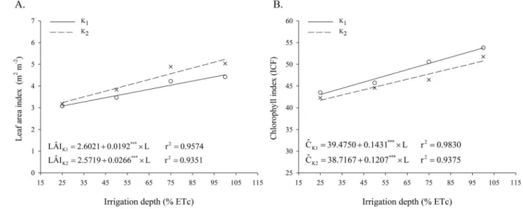 Figure 3.  Response of leaf area index (A) and chlorophyll index (B) as a function of the applied irrigation depth (% 
