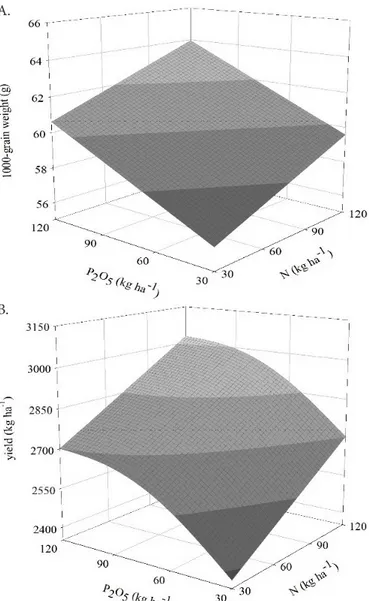 Figure 4. Response surfaces for 1000-grain weight (A) and  yield (B) of sunflower as a function of N and P 2 O 5  doses  applied to the soil