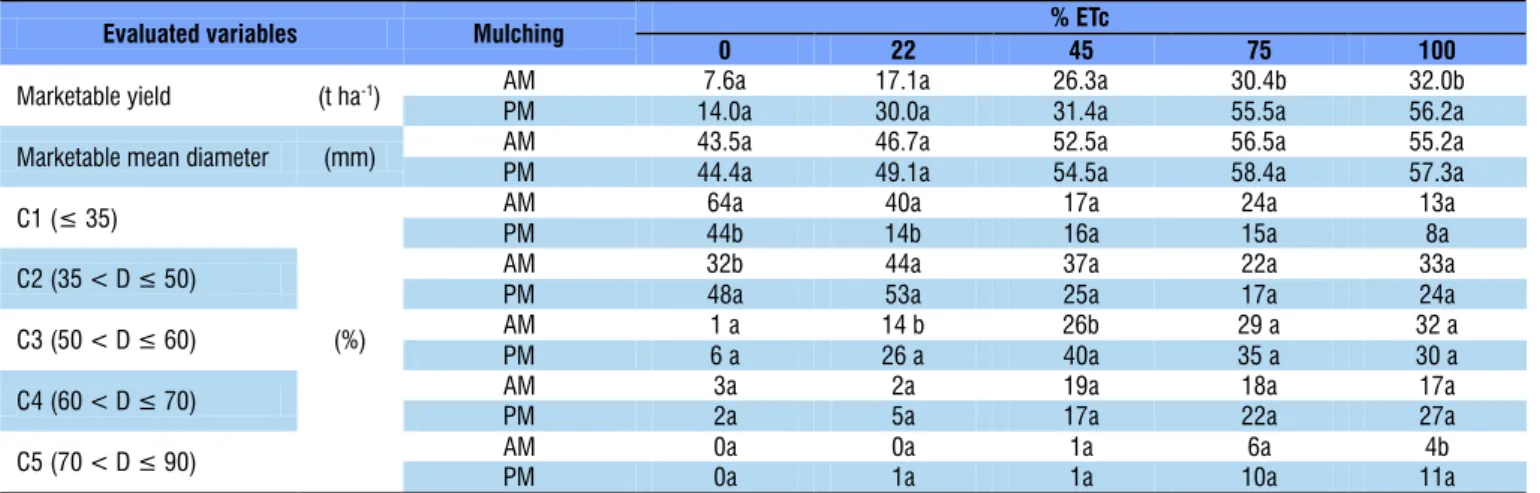 Table 4 shows the values of marketable yield, marketable  mean diameter and percentage of onion bulbs under both  soil conditions, for the different irrigation depths