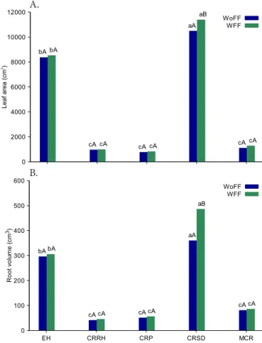 Figure  1.  Leaf  area  (A)  and  root  volume  (B)  of  papaya  seedlings as a function of different substrates and foliar  fertilization
