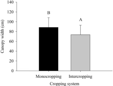 Figure 1. Effect of forage cactus sorghum intercropping on  forage cactus canopy width under irrigation depths (mean  of 583, 655, 703, 759 and 809 mm year -1  plus rainfall of  393 mm year -1 )