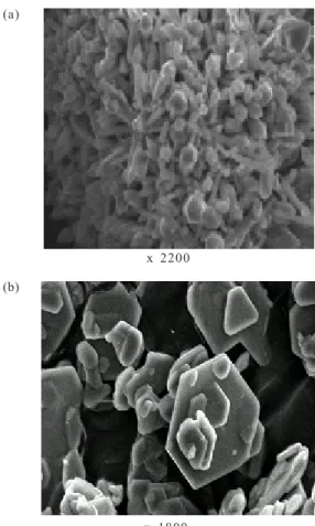 Figure 2. Scanning electron microscopy (SEM) photomicrograph of sub sample of the H8-syn (A) showing hexagonal rod crystals and of  H14-syn (B) showing pseudo-hexagonal plates.