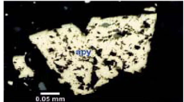 Figure 4. Photomicrograph under reflected light with parallel polarizers showing anhedral crystals of pyrite (py) and ground mass of sphalerite (sl) at the center.