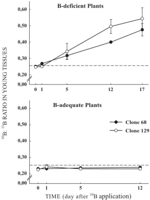 Figure 3. Isotope ratio of  10 B: 11 B in the young tissues over the course of time after application of  10 B to a single mature leaf of B-deficient and adequately supplied plants of two eucalypt clones