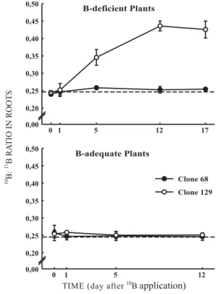 Figure 4. Isotope ratio of  10 B: 11 B in the mature leaves over the course of time after the application of