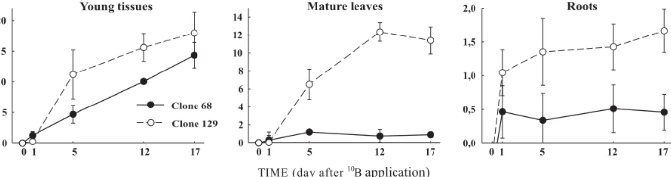Table 3. Soluble carbohydrates in the xylem sap and in eucalypt leaves after  10 B foliar application to B- B-deficient (-B) or adequately supplied plants (+B)