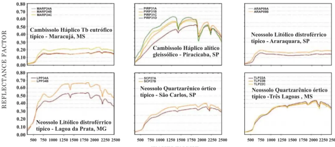Figure 4. Spectral curves from soil profiles: Cambissolos, Neossolos Litólicos and Neossolos .Quartzarênicos, representing the Soil Spectral Library