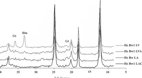 Figure 3. Diffraction obtained by DXRD (total Clay – K25) of the horizon Bw of pedons of the toposequence, where Hm: hematite and Gt: goethite.