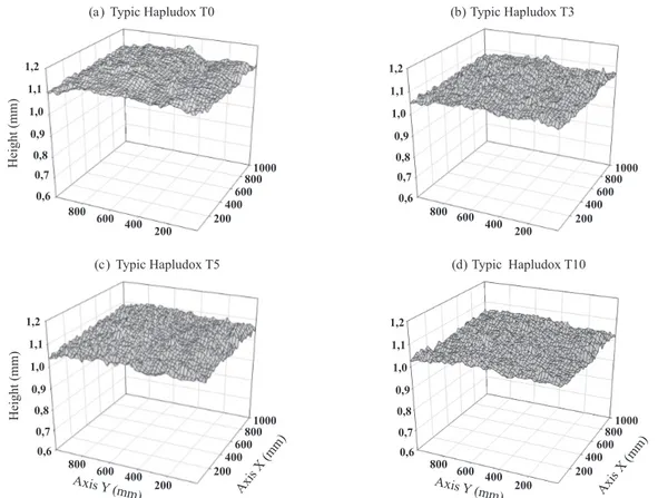 Figure 1. Roughness evolution of the Typic Hapludox during the rainfall events T0, T3, T5 and T10.
