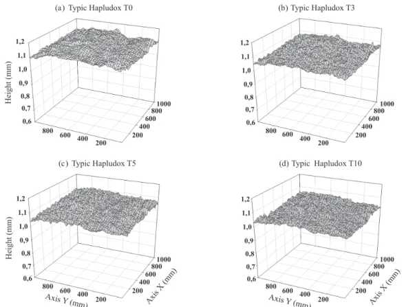 Figure 1. Roughness evolution of the Typic Hapludox during the rainfall events T0, T3, T5 and T10.