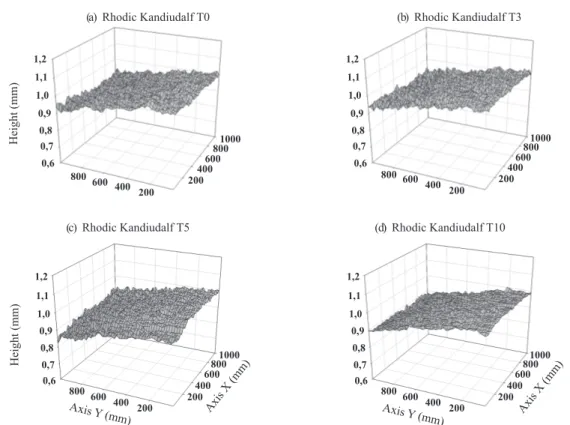 Figure 5. Roughness evolution for the Rhodic Kandiudalf during the rainfall events T0, T3, T5 and T10.