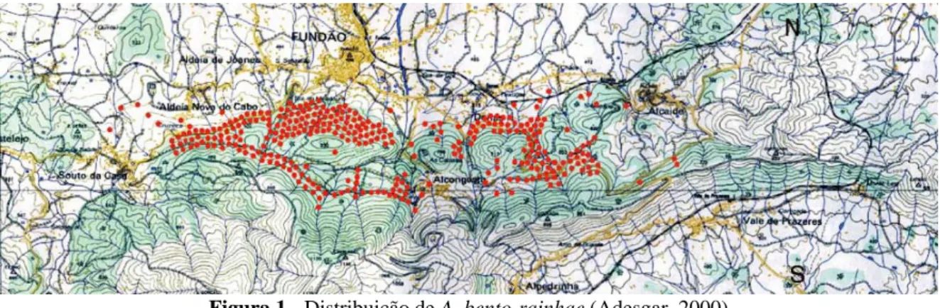 Figura 1 - Distribuição de A. bento-rainhae (Adesgar, 2000). 