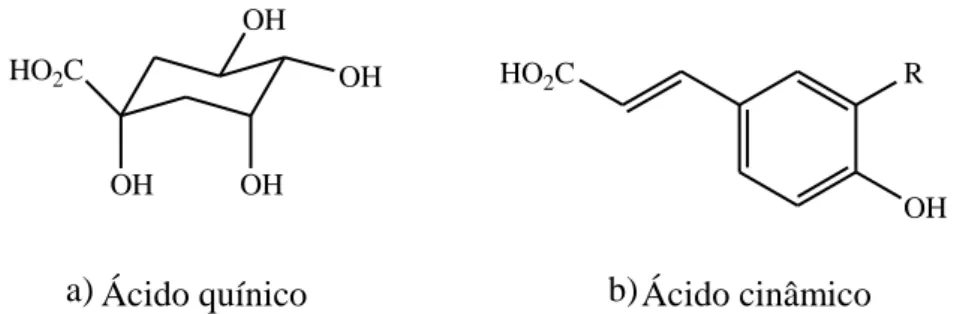 Figura 2: Estruturas dos: a) ácido quínico, b) formação dos derivados do ácido cinâmico: cafeico  (R= OH), ferúlico (R= OMe) e p-cumárico (R= H) [32] 