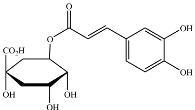 Figura 3: Estrutura do ácido 5-cafeoilquínico [33] 