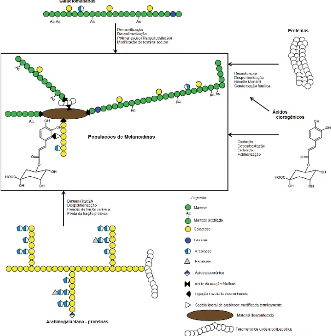 Figura 5: Ilustração da formação das melanoidinas do café [18] 