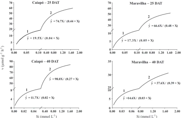 figure 2. silicon uptake velocity and participation of high - (1) and low-affinity uptake mechanisms (2)  in rice cultivar roots 25 and 40 days after transplanting (Dat) as a function of si concentration in  the nutrient solution.