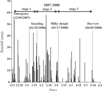 Figure 2. Rainfall in the growth stage of the 2007- 2007-2008 growing season. Stage 1: From emergence  until tasseling; stage 2: From tasseling until  milky /dough; stage 3: until harvest.