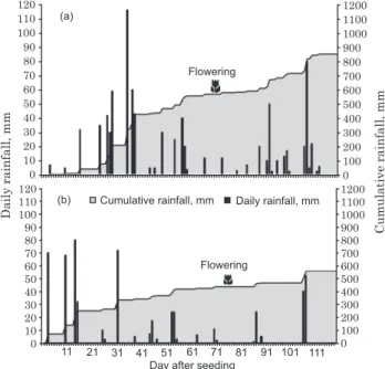 Figure 1. Day and cumulative rainfall experimental area during corn growing season in 2010 (a) and 2011 (b), in Alto Verá, Paraguay.