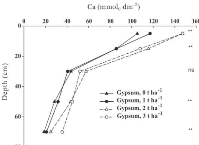 table 1. regression equations with significant co- co-efficients of determination (p ≤ 0.01) between  exchangeable Ca and mg in the soil ( ), for  different depths, and annual gypsum rates (x),  broadcast on the soil surface from 2001 to 2009