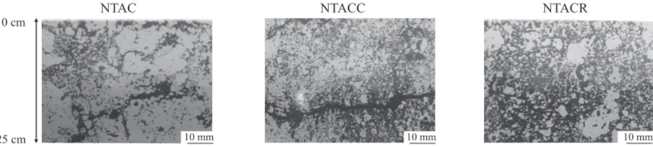 figure 3. thin section photos in reflected uV light under optical microscope showing macroporosity* in  the 0–25 cm layer of soil under no-tillage annual crops (ntac), no-tillage annual crops with chiseling  (ntacc) and no-tillage with crop rotation (ntacr