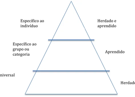 Figura 1 – Três níveis de programação mental (Hofstede, 2003, p.20) 