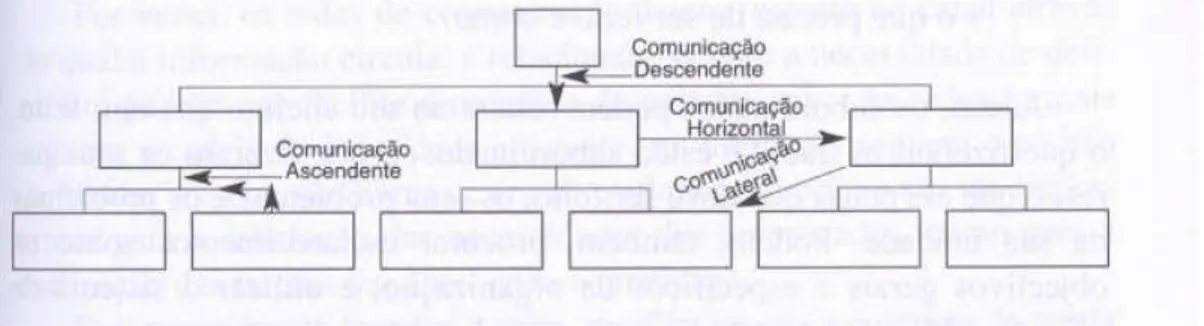 Figura 7 – Organograma e Comunicação Formal (Bilhim, 2008) 