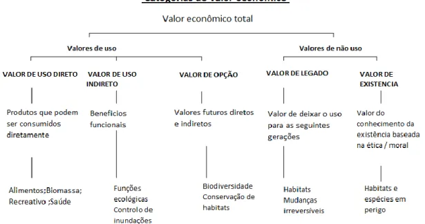 Figura 9 - Categorias do valor econômico 