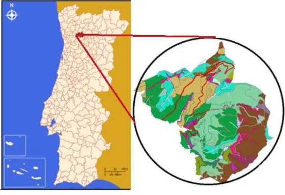 Figura 10 - Localização baldio de Anciães 