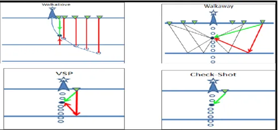 Figura 19: Ilustração dos diferentes tipos de aquisição ao longo do poço. 