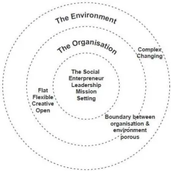 Figura 4 –  A organização empreendedora social  (Leadbeater, 2001, p. 65). 
