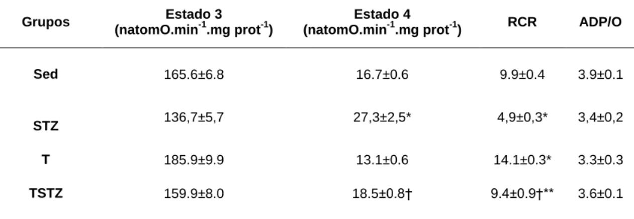 Tabela  6  Efeitos  do  treino  de  endurance  e  do  tratamento  com  STZ  nos  parâmetros  respiratórios  (estado  3,  estado  4,  RCR  e  ADP/O),  de  mitocôndrias  isoladas  do  músculo  gastrocnemius de ratos, energizadas com malato (2mM) e piruvato (