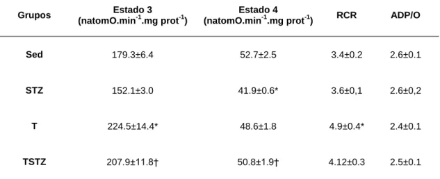 Tabela  7  Efeitos  do  treino  de  endurance  e  do  tratamento  com  STZ  nos  parâmetros  respiratórios  (estado  3,  estado  4,  RCR  e  ADP/O),  de  mitocôndrias  isoladas  do  músculo  gastrocnemius de ratos,energizadas com succinato (10mM) e rotenon