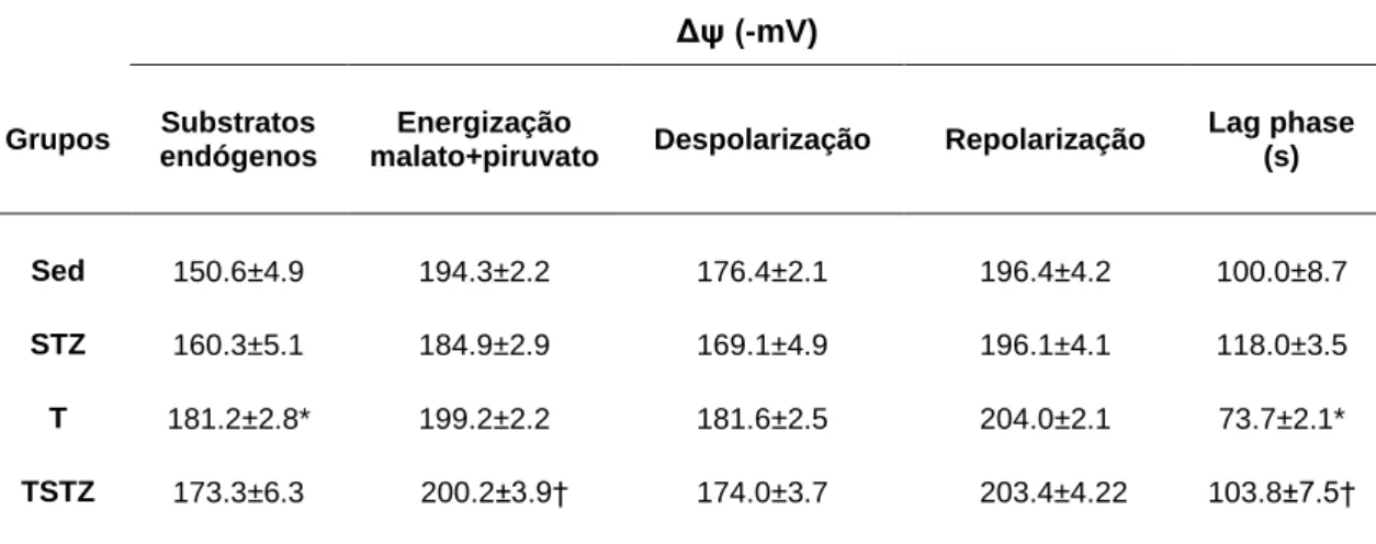 Tabela 8 Efeitos do treino de endurance e do tratamento com STZ nas flutuações do potencial  transmembranar  mitocondrial  (Δψ)  do  musculo  gastrocnemius  com  energização  de  malato  e  piruvato