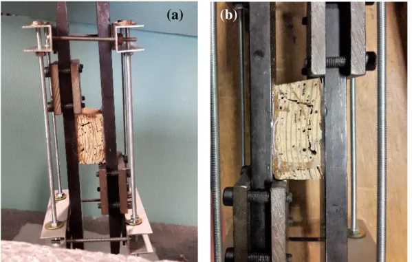 Fig. 7: Shear parallel to the grain test being performed (a) and rupture of a sample by shear test (b)