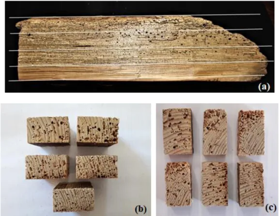 Figure 1: Sampling: (a) timber beam initially divided in 4 segments; (b) some of the 17 samples resulting  from the first cut of the beam (samples approximately 40 × 20 × 40 mm 3 ) and (c) some of the 17 “new” 