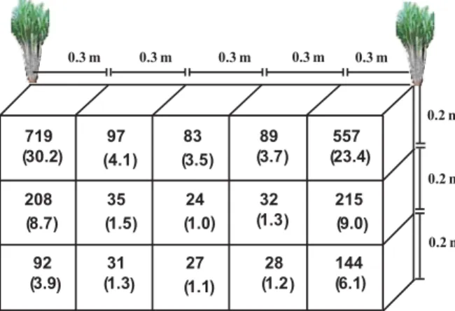 Table 6. Soil density in the trenches at sugar cane harvest, at different locations and depths