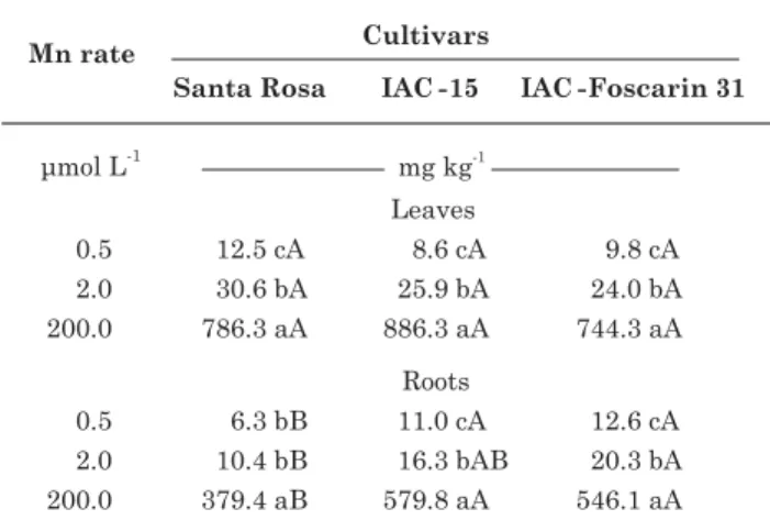 Table 1. Manganese concentration in the deficient leaf (0.5  µµ µµ µmol L -1  Mn), “healthiest” leaf (2.0 µ µµµ µmol L -1  Mn) and excess Mn leaf (200.0 µµµµ µmol L -1  Mn) and in the root of three soybean cultivars: Santa Rosa, 15 and  IAC-Foscarin 31, as