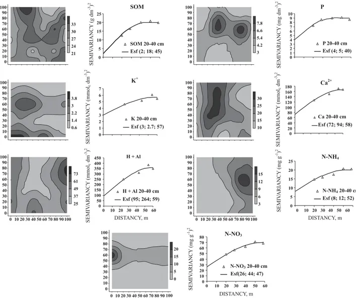 Figure 5. Spatial variability maps of soil properties in the 0.2–0.4 m layer. Model (C 0 ; C 1 ; a).