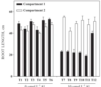 Figure 4. Primary root length of soybean cv. UFV-16 as related to solution treatments in the split-root experiment