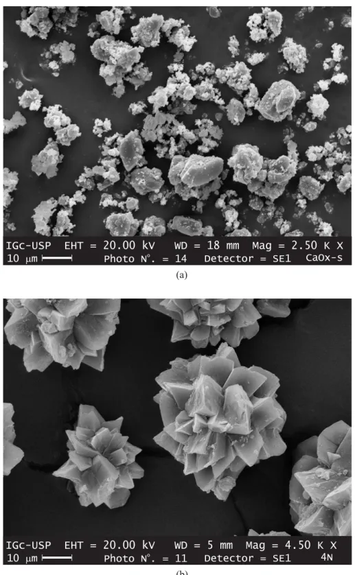 Figure 2. Scanning Electron Microscopy of (a) synthetic calcium oxalate; (b) biogenic calcium oxalate.
