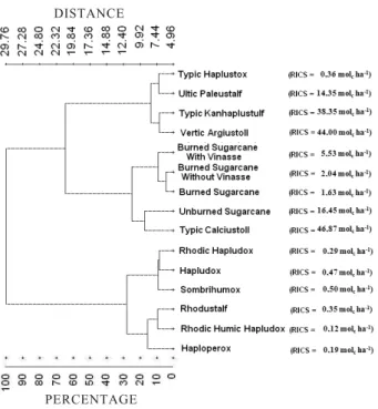Figure 1. Dendrogram for the minimum variance based on Euclidean distances obtained by multivariate analysis of all variables for the group of studied samples and Redox Index of Carbon Stability (RICS).
