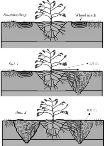 Table 1. Particle size distribution and organic carbon (OC) content of the soil in a citrus orchard