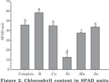 Figure 2. Chlorophyll content in SPAD units, measured in the middle lobe of the third and fourth recently expanded leaves of physic nut grown in complete nutrient solution and in absence of B, Cu, Fe, Mn, and Zn, 105 days after the start of the treatments