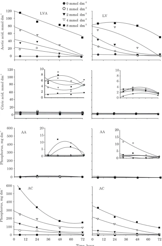 Figure 2. Effect of  incubation time (hours) and rates of organic acids on the concentration of acetic (AA) and citric acid (AC) and phosphorus, extracted by NaOH, in Rhodic Haplustox (LV) and Typic Haplustox (LVA).